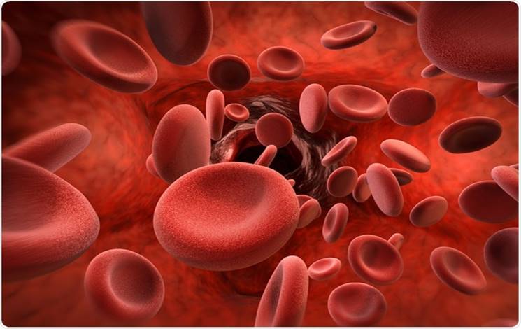 7 Foods to Increase Hemoglobin Levels in the Body