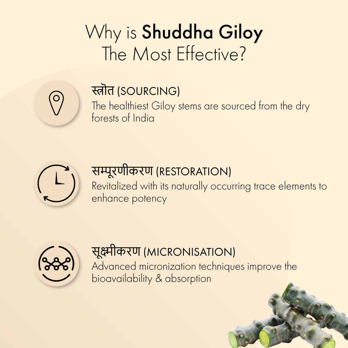 Shuddha Giloy Tablets: Most Effective Immunity Booster & Blood Purifier
