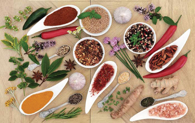 10 Ayurvedic Herbs to Incorporate Into Your Daily Life