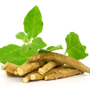 Ashwagandha (Indian Ginseng)