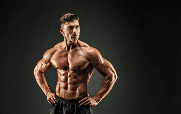 Bulk vs Cut: How to Choose Your Body Goal | Dr. Vaidya's – Dr Vaidya's