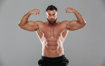 Gaining Muscle Mass with the Best Muscle Building Foods