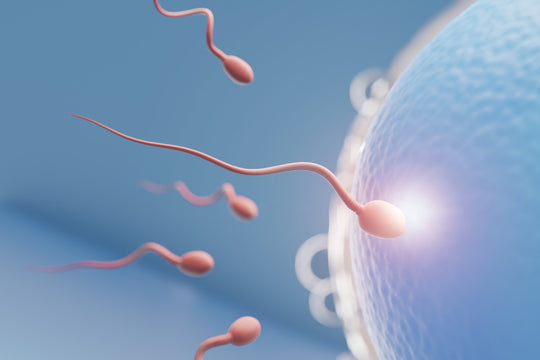 How To Boost Sperm Count Naturally