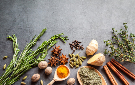 Top 6 Immunity Boosting Herbs in Ayurveda