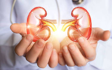 Kidney Stones: Causes, Symptoms, and Treatment