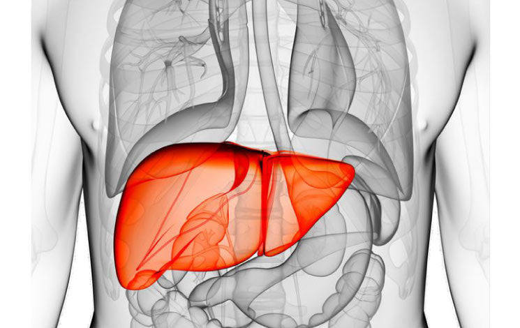 10 Essential Ayurvedic Tips for a Healthy Liver