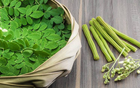 Health Benefits of Moringa (Moringa Oleifera)