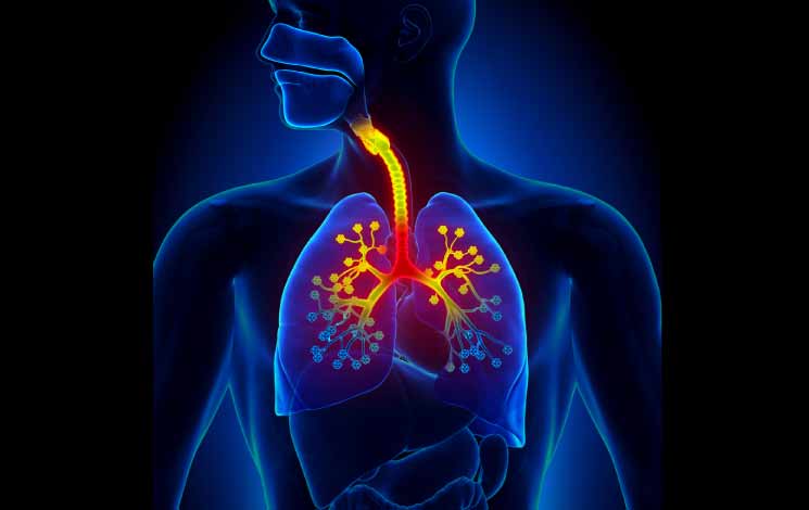 How Effective Is Ayurved To Treat Bronchitis Naturally?