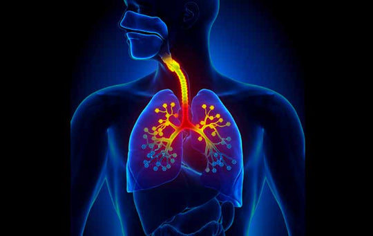 How Effective Is Ayurved To Treat Bronchitis Naturally?