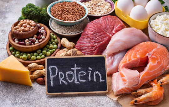 Protein Foods for Bodybuilding