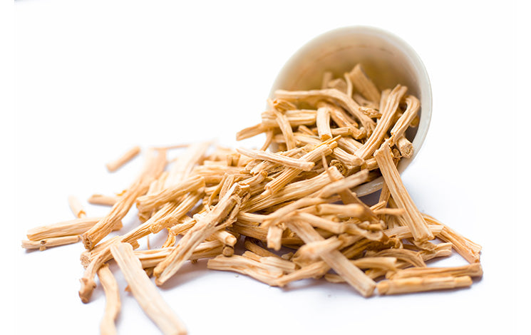 Shatavari: Benefits, Uses, and Side Effects | Dr. Vaidya's