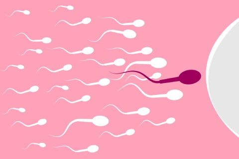What Are The Symptoms Of Low Sperm Count?