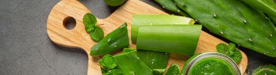 Aloe Vera Juice For Piles: A Natural Remedy For Relief