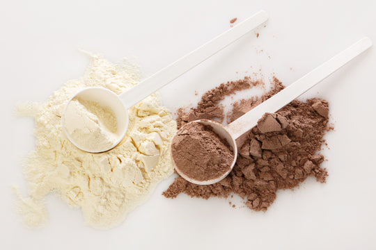 Whey Protein vs Plant Protein