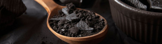 shilajit powder vs resin