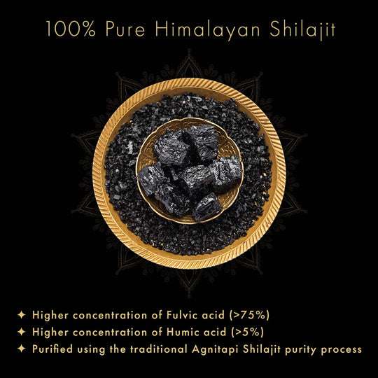 Dr. Vaidya's Herbo24Turbo Shilajit Resin