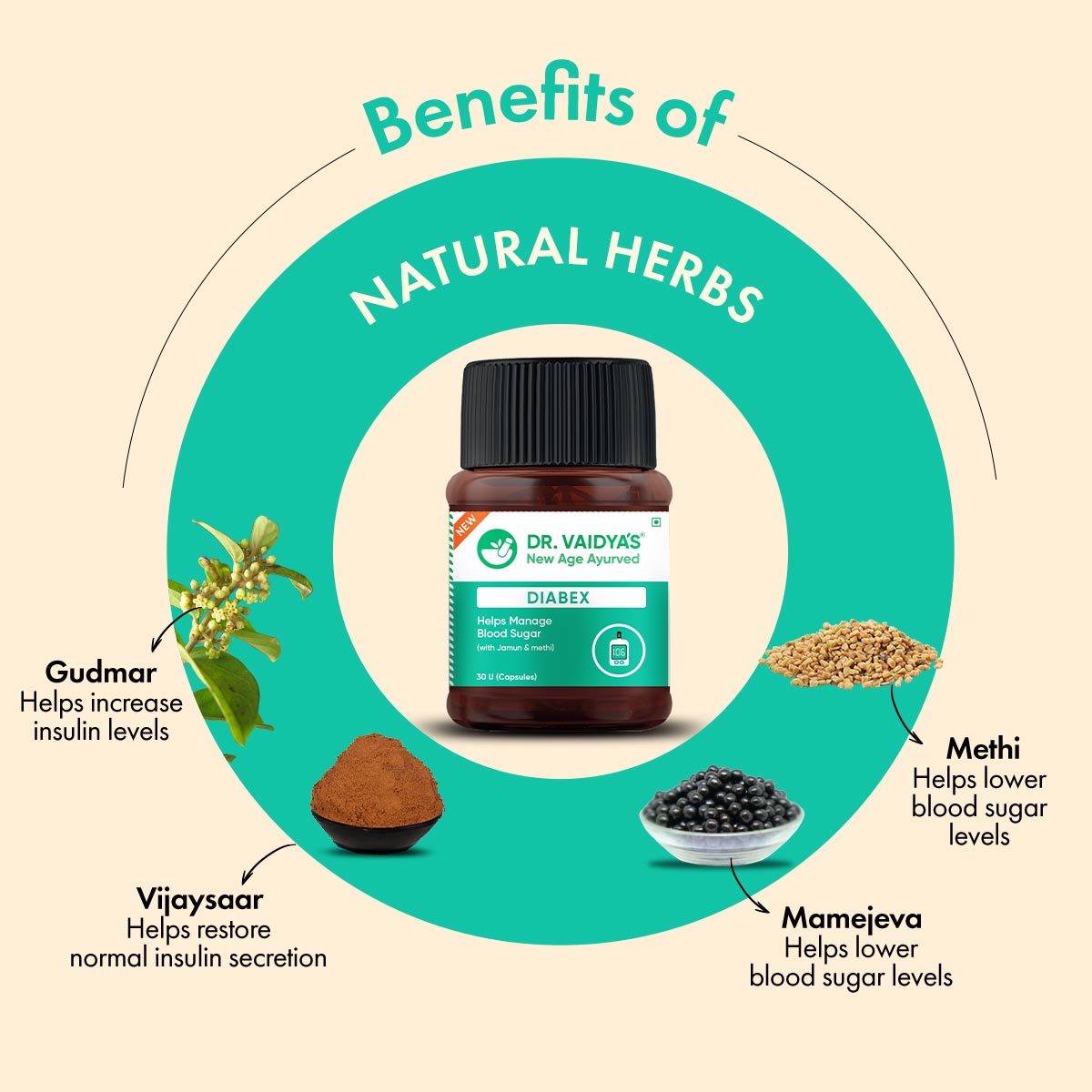 Diabex (30 Capsules per Pack) Enriched with Gudmar, Vijaysaar, Jamun Seed for Blood Sugar Support