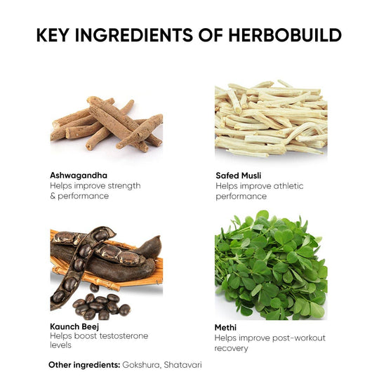 HerboBuild (50 Capsules): Pack of 3