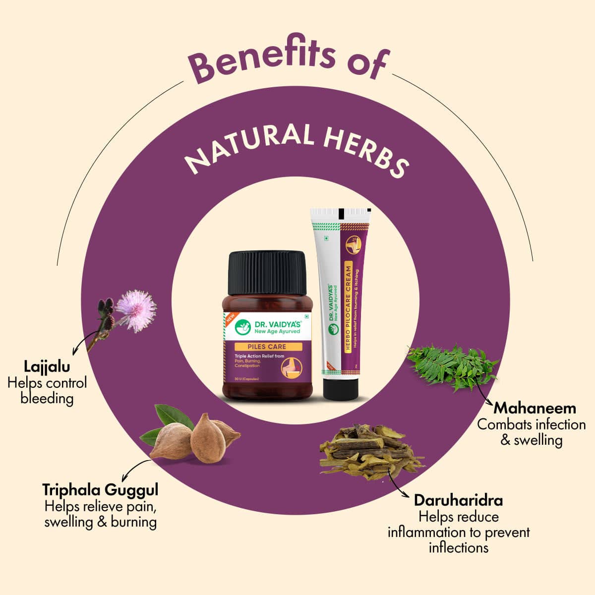 Piles Care Capsules (30 Capsules per Pack) + Pilocare Cream (30 gm per Tube) Combo – Ayurvedic Comfort Support