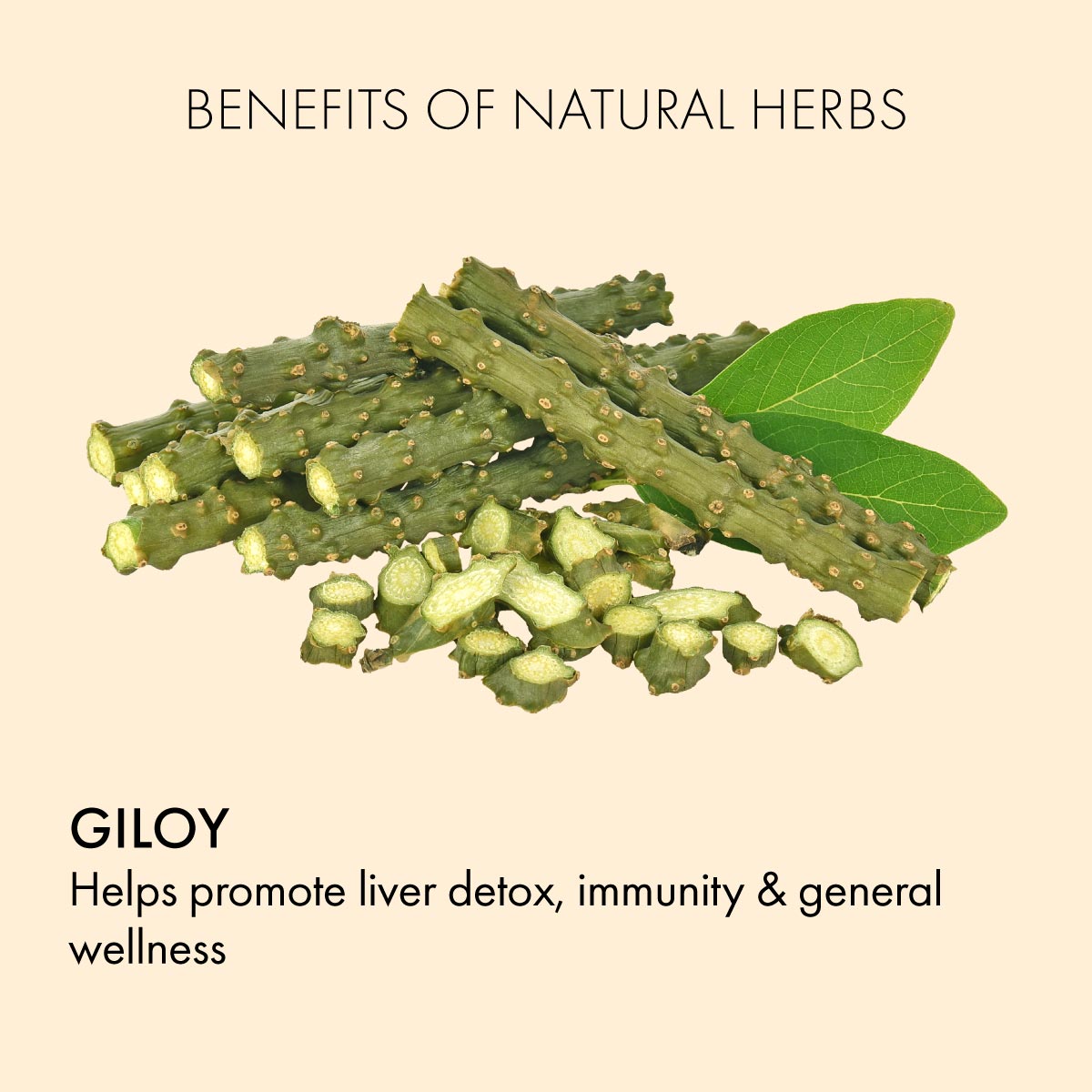 Giloy Juice: For Liver Detox & Quick Recovery from Illnesses
