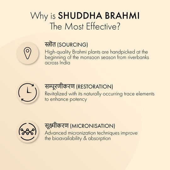 Shuddha Brahmi: Most Effective Brain Tonic & Memory Enhancer