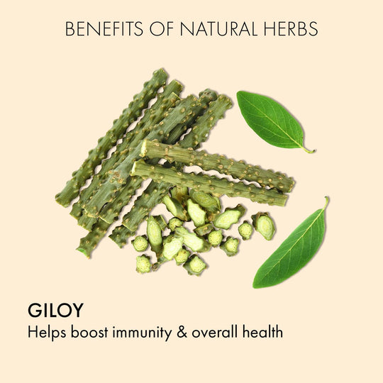 Giloy Capsules: Ayurveda For Immunity & Better Health