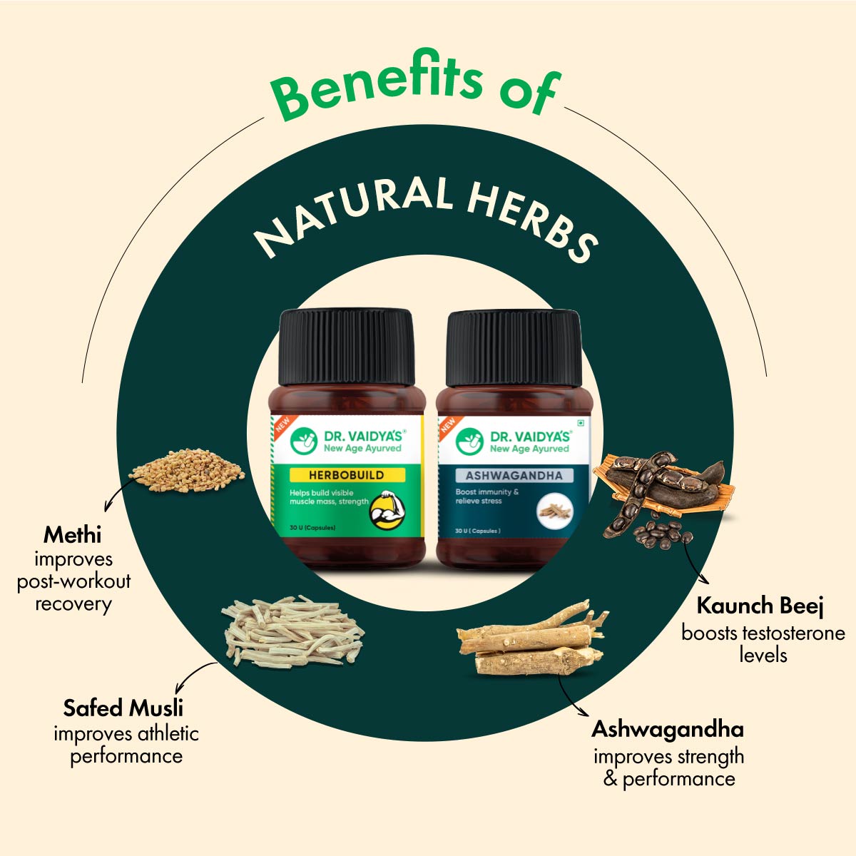 Herbobuild & Ashwagandha Combo: For Fast Muscle Growth, Stamina & Fitness