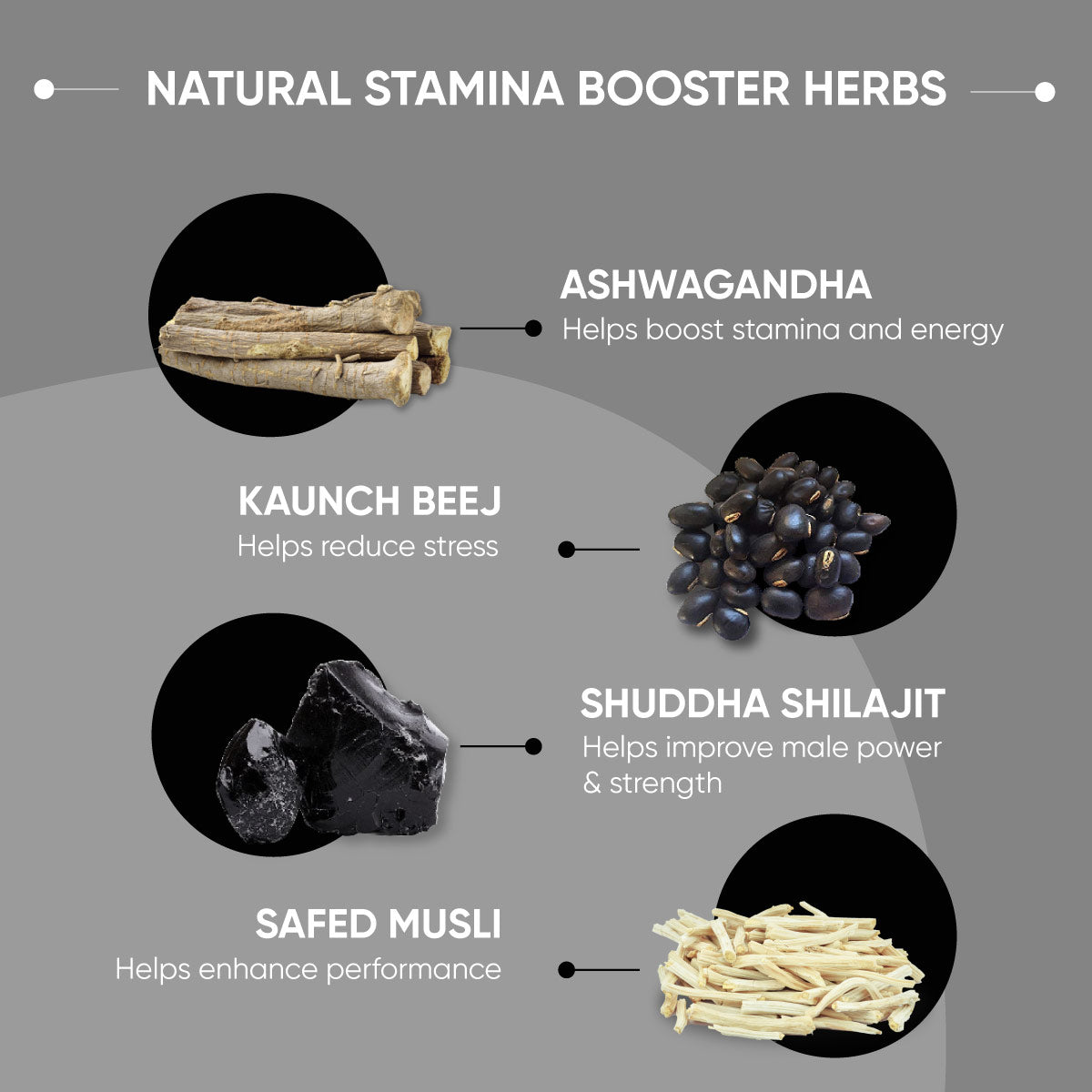 Herbo 24 Turbo Capsules: Ayurvedic Male Power Booster with Shilajit, Ashwagandha and Safed Mushli