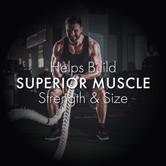 Herbobuild: For Enhanced Stamina & Peak Fitness