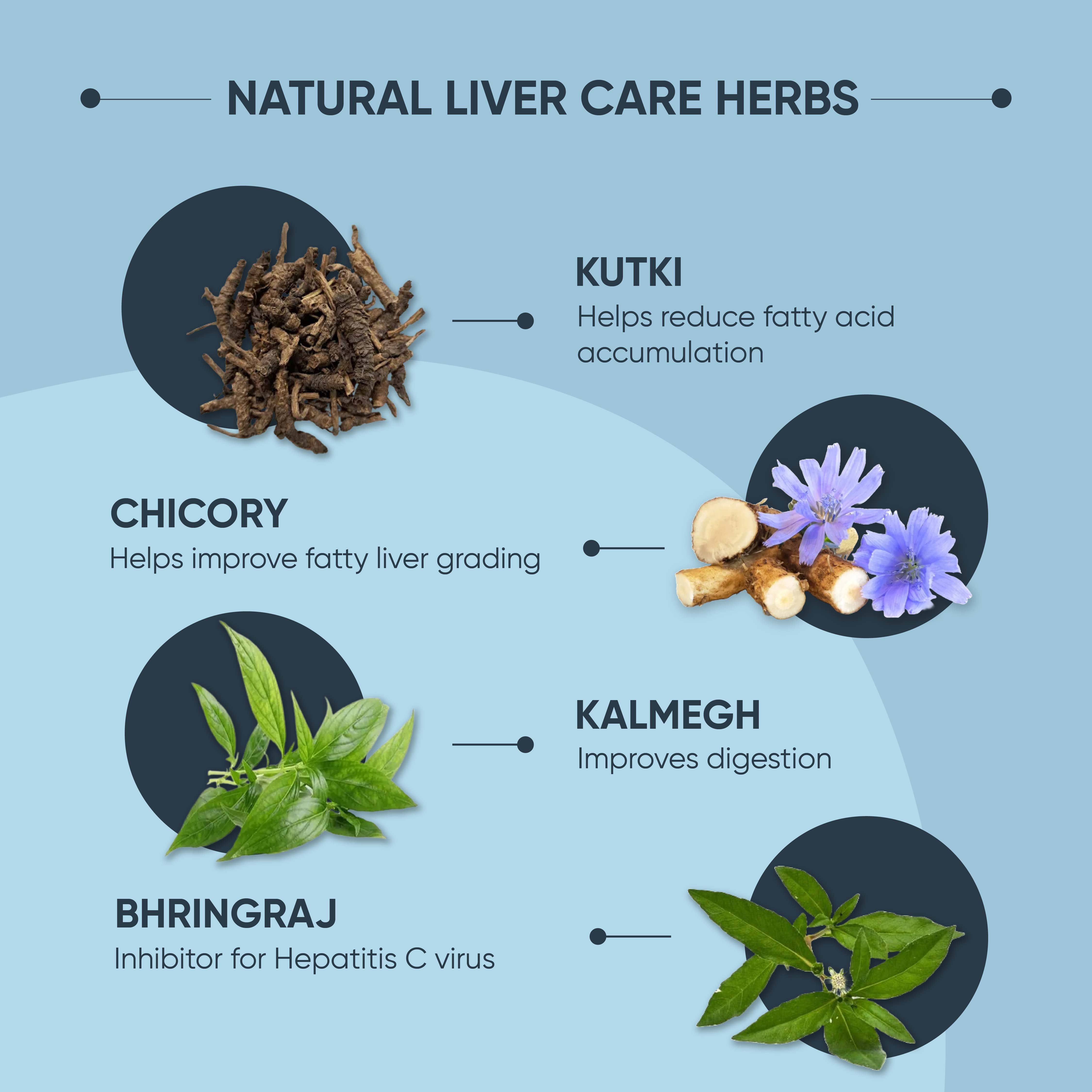 Liver Care Tablets - Daily Ayurvedic Liver Detox