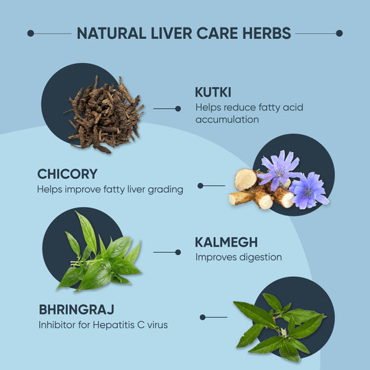 Liver Care Tablets - Daily Ayurvedic Liver Detox