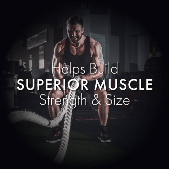 Herbobuild: For Enhanced Stamina & Peak Fitness (50 Capsules)