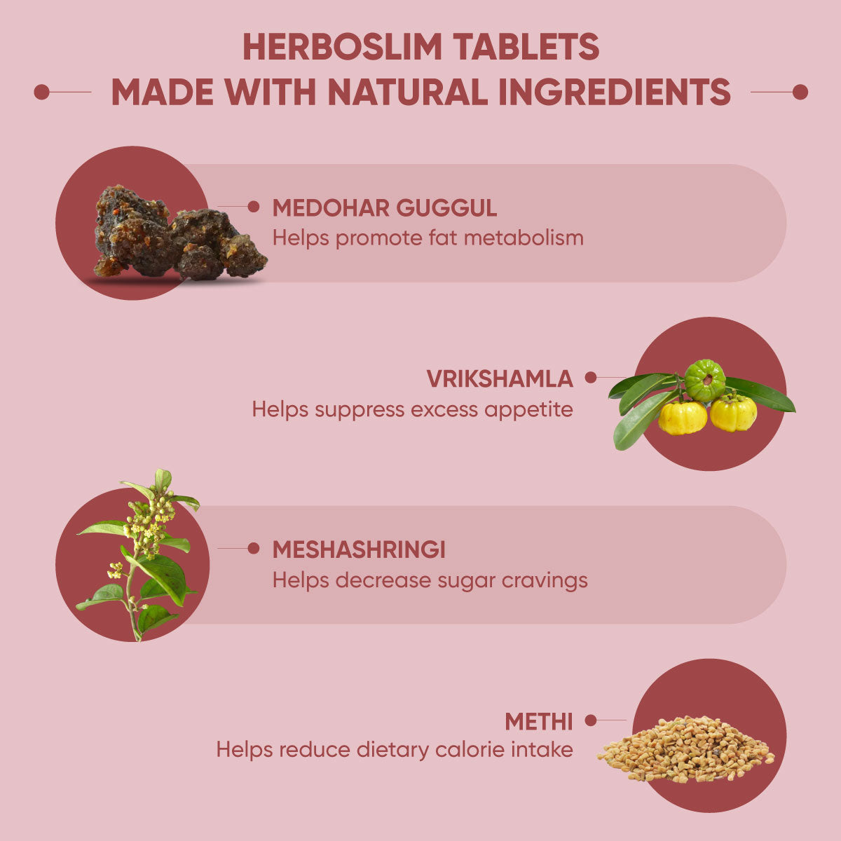 Apple Cider Vinegar (ACV) Fizz & Herboslim Tablets Combo Pack – Metabolism & Weight Loss