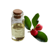 Apple Cider Vinegar