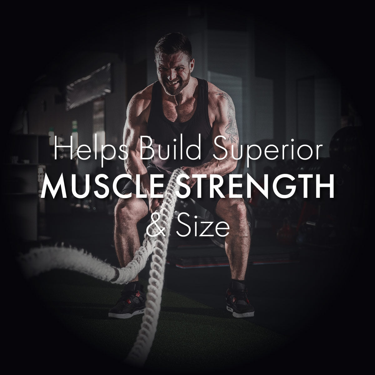 Muscle Build Combo: Helping to Maximize Your Muscle Building Results