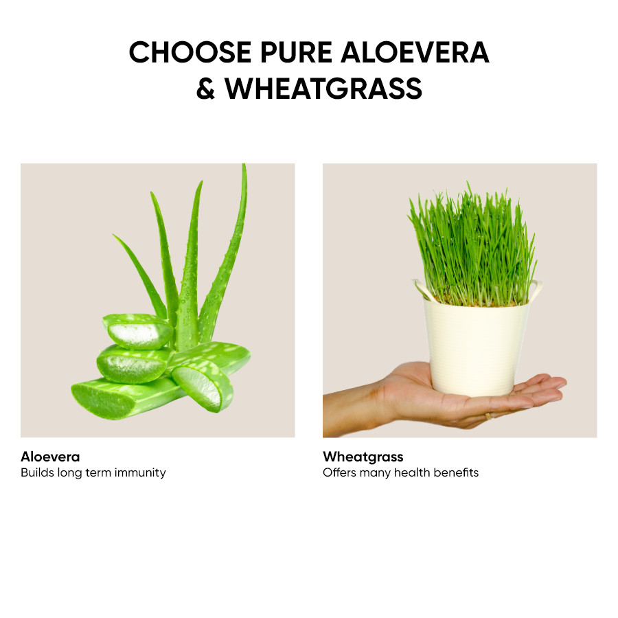 Aloevera Wheatgrass Juice