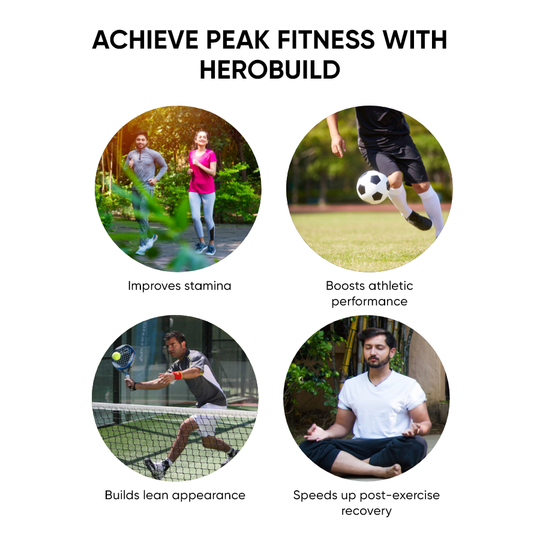 HerboBuild - Pack of 1