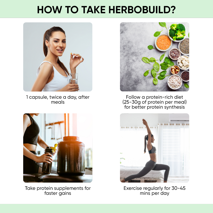 HerboBuild - Pack of 1